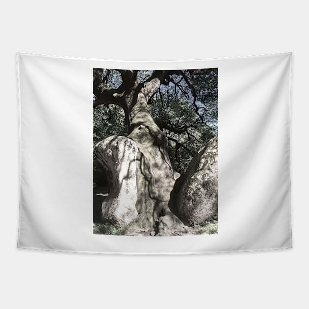 Tree on the rock Tapestry by ghjura