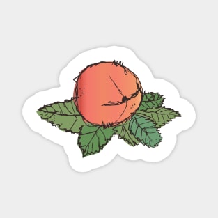 Peach on a leaf sketch Magnet