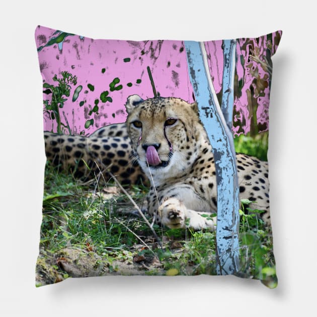 Gepard / Swiss Artwork Photography Pillow by RaphaelWolf