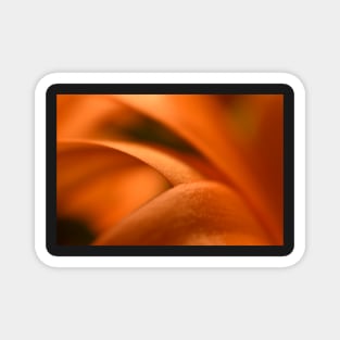 Orange flower petals Magnet