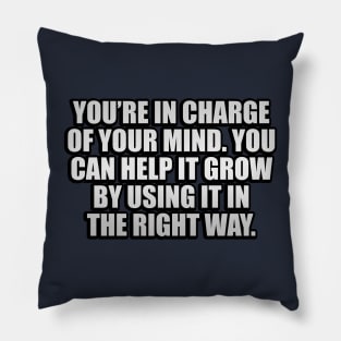 You’re in charge of your mind. You can help it grow by using it in the right way Pillow