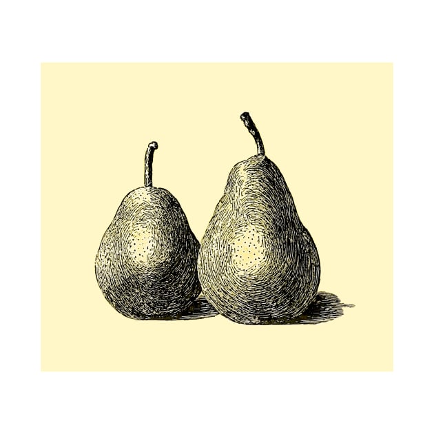 The Two Pears by PictureNZ