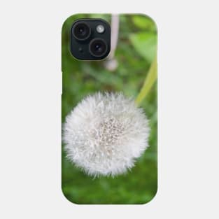 Dandy Phone Case