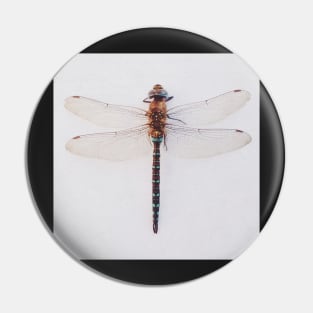 Dragonfly Pin