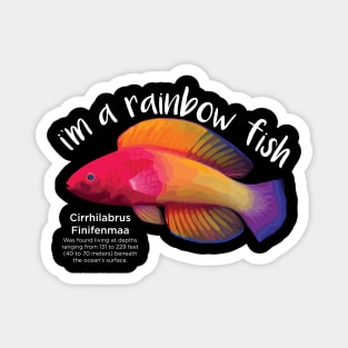 Rainbow Fish Magnet