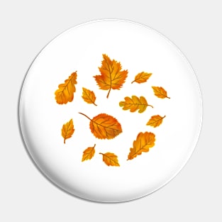 Autumn leaves Illustration Pin