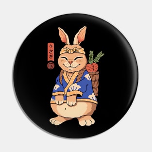 Rabbit ninja Pin