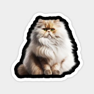 Cute Persian Cat, Fluffy Cat Lover Magnet