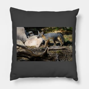 Gray Fox Pillow