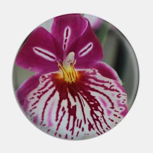 Orchid my Love Pin