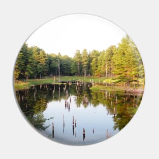 Beaver Pond Frontenac Provincial Park No.1 Pin