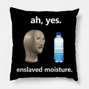 Ah Yes Enslaved Moisture T-shirt, Funny Dank Meme T-shirt, Meme Shirt, Surreal Meme T-shirt, Funny Meme Gift Pillow