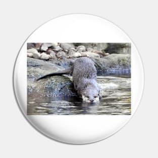 Otter Pin