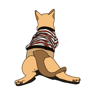 curry the cat who wears clothes T-Shirt