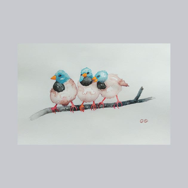 Australian Black-throated Finches, bird art by GarryGreenwood