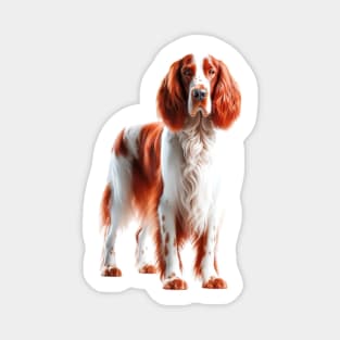 Irish Red and White Setter Magnet