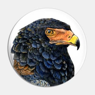 BATELEUR EAGLE Pin