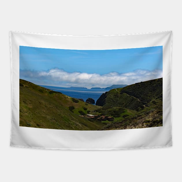 Channel Islands National Park Santa Cruz Island Tapestry by supernova23