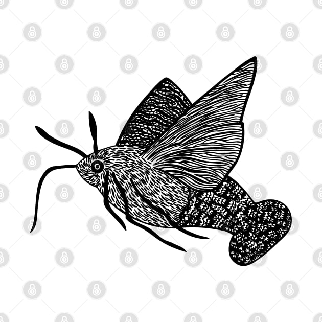 Hummingbird Hawk-Moth - flying insect design - on white by Green Paladin