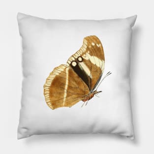 Vintage butterflies Pattern Pillow