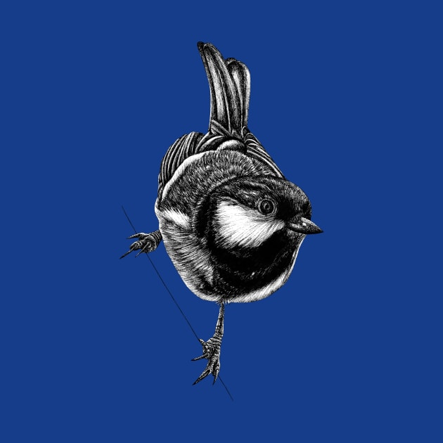 Coal tit bird by lorendowding