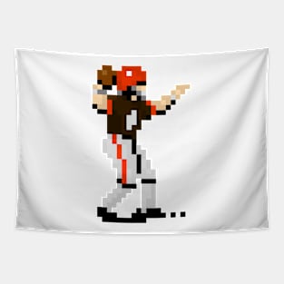 16-Bit QB - Cleveland Tapestry