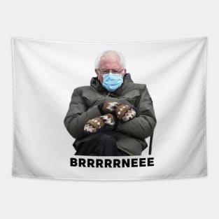 Bernie's Mittens Sanders Meme Tapestry