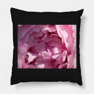 Pink Peony Closeup Pillow