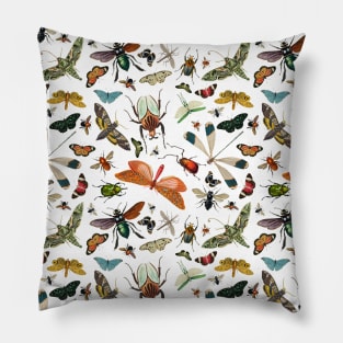 Vintage Insect Illustration on White Pattern Pillow