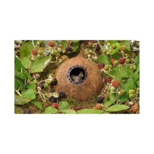 Little mouse in a coconut shell house by the Brambles T-Shirt