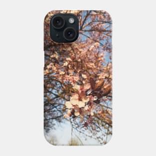 Cherry blossom flower Phone Case