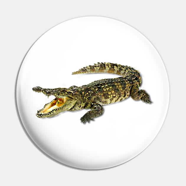 Small crocodile Pin by antaris