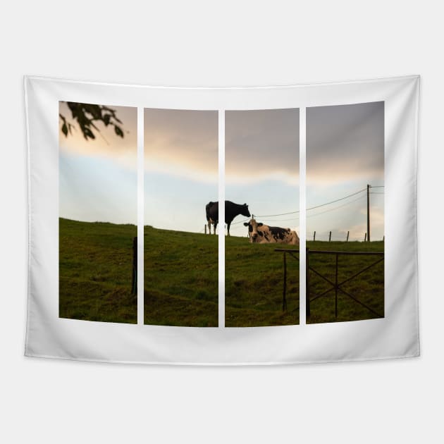 Two cows on the hill at sunset after a shower. Backlight. Tapestry by fabbroni-art