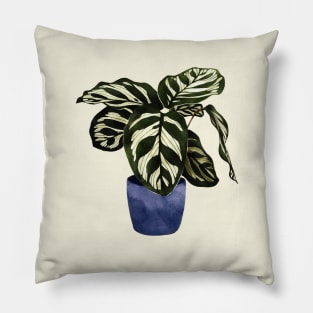 Calathea plant indoorplant Pillow