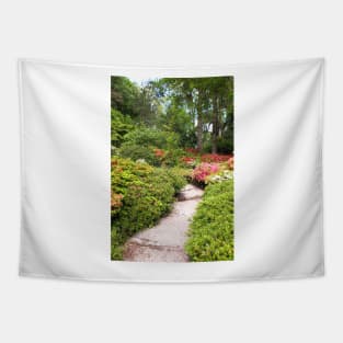 Footpath Through Springtime Forest Tapestry