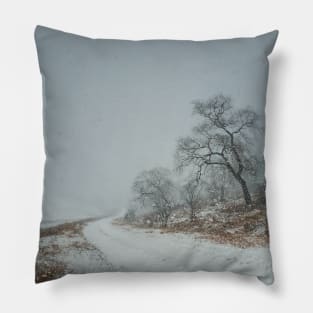 blizzard scene Pillow