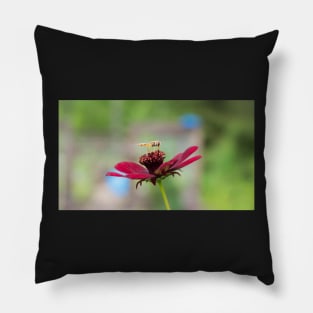 Hoverfly on a Flower Pillow