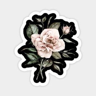 Faded Pink Rose Magnet