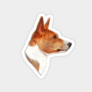 Basenji Magnet