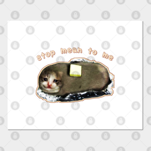 Stop Mean To Me 3 Starring Crying Cat Baked Potato Wholesome