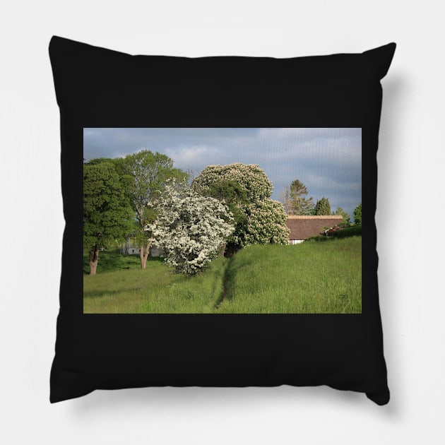 Chestnut and hawthorn Pillow by Trine