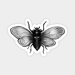 Cicada x Magnet