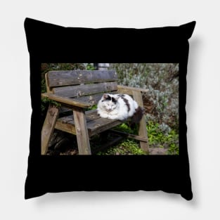 Cute Cuddly Cat Catnapping in Clovelly Pillow