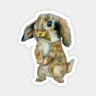 Baby Hare Magnet