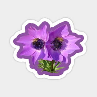 Purple Pink Anemones with Honey Bees Vector Art Magnet