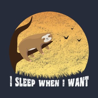 I Sleep When I Want, Funny Sloth Saying T-Shirt