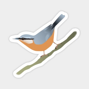 Nuthatch digital Magnet