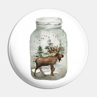 Winter in a Jar Pin