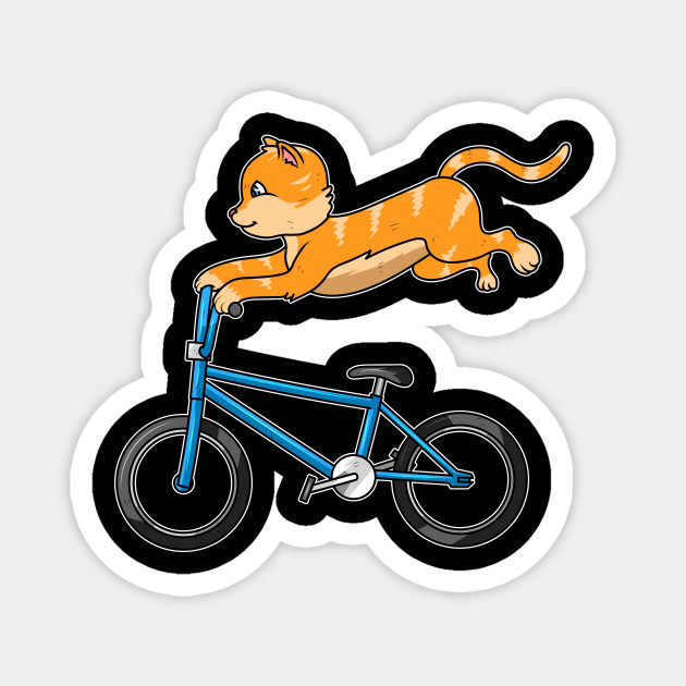 riding a bmx