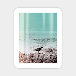 Shorebird Beach Vibes Magnet